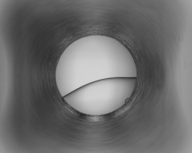 X0000113080432200908280951