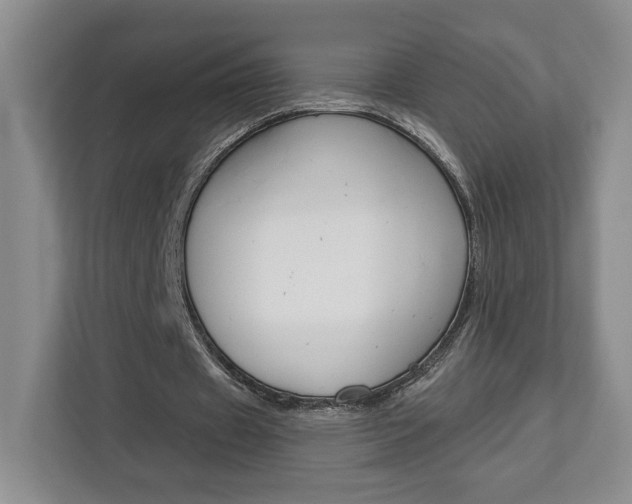 X0000113080433200908280950