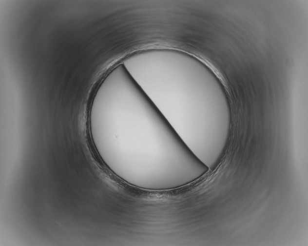 X0000113080437200908280950