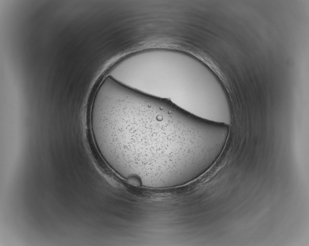 X0000113080438200908280950