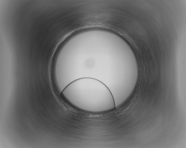X0000113080440200908280950