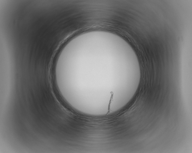 X0000113080444200908280950