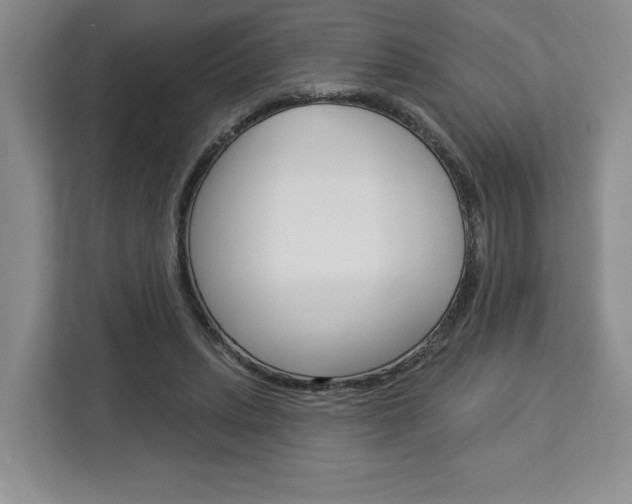 X0000113080447200908280950
