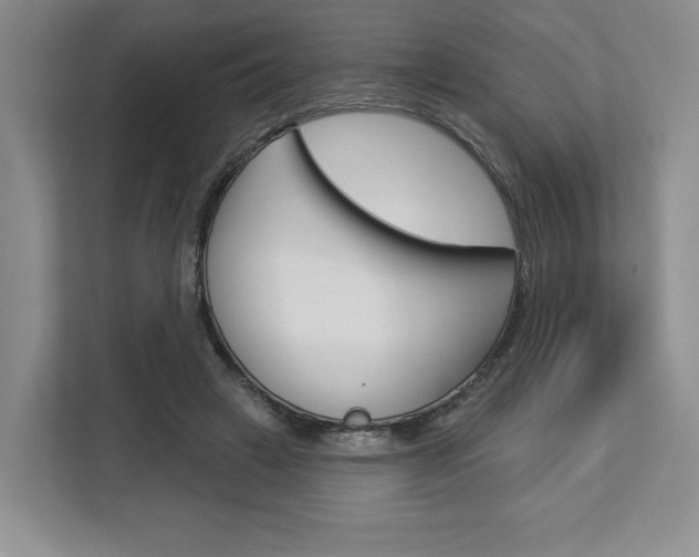 X0000113080449200908280950