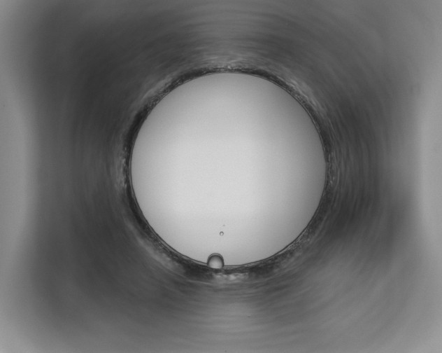 X0000113080450200908280950