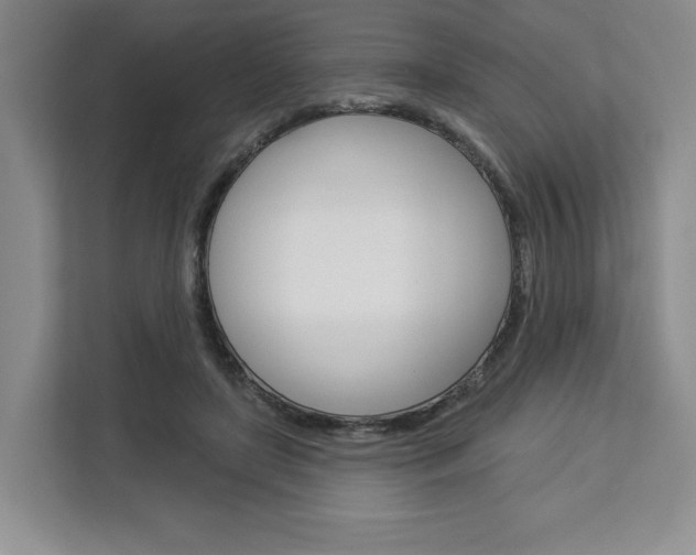 X0000113080451200908280950