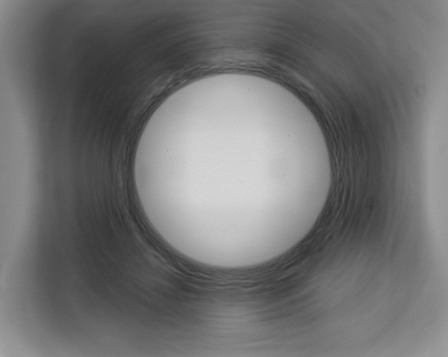 X0000113080452200908280950