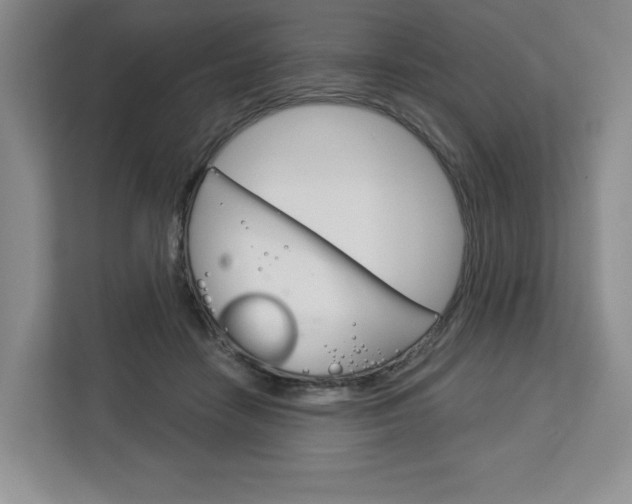 X0000113080458200908280950