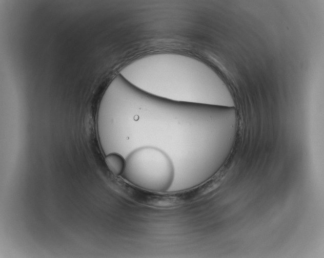 X0000113080459200908280950