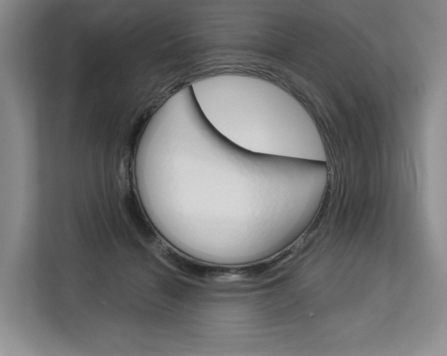 X0000113080460200908280950
