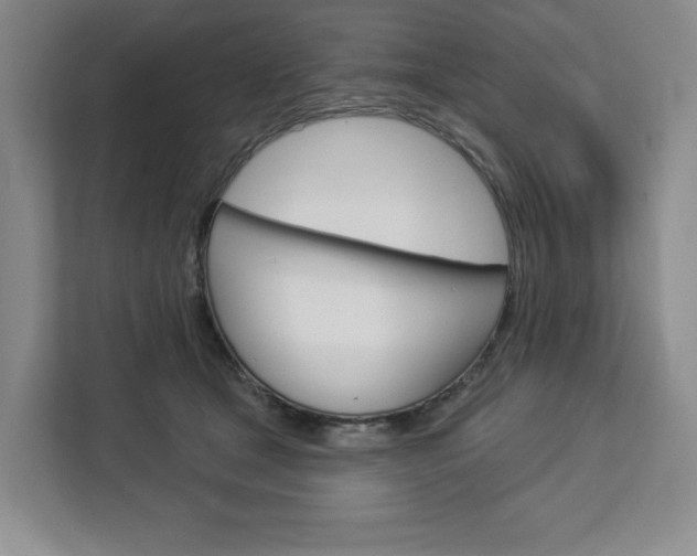 X0000113080465200908280951