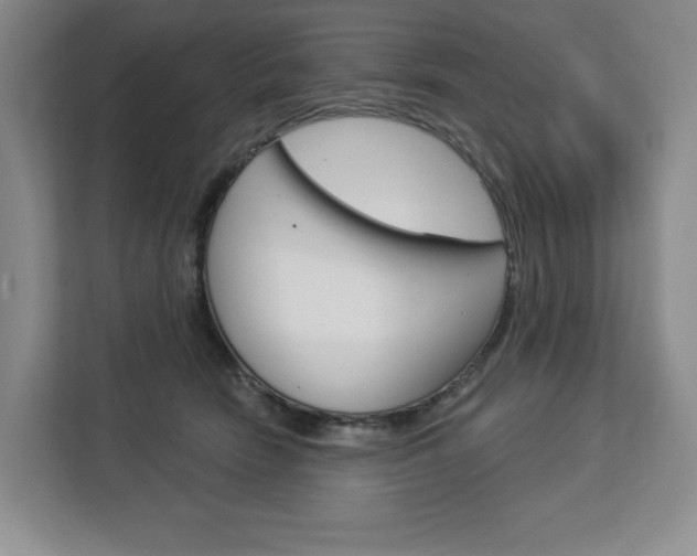 X0000113080466200908280951