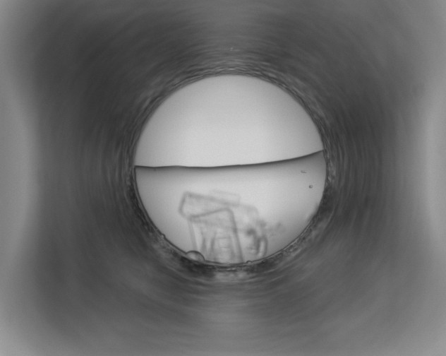X0000113080470200908280951