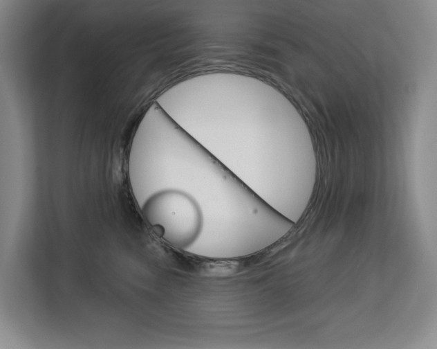 X0000113080474200908280951