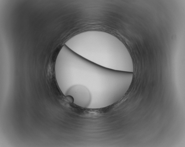 X0000113080475200908280951