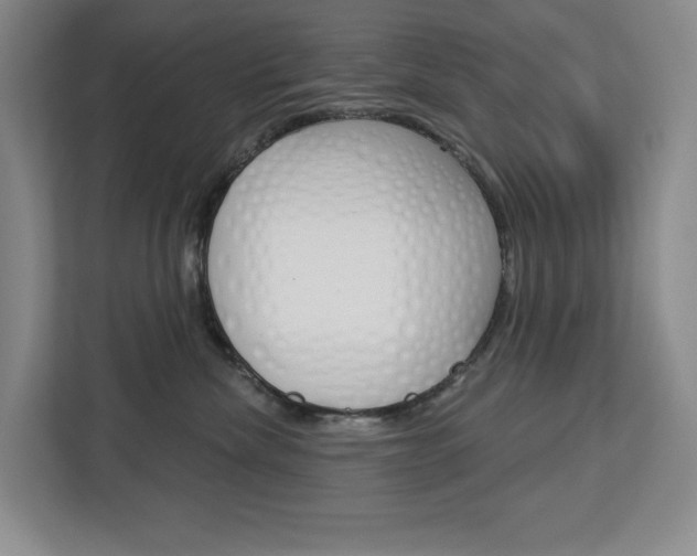 X0000113080476200908280951
