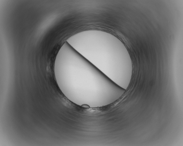 X0000113080477200908280951