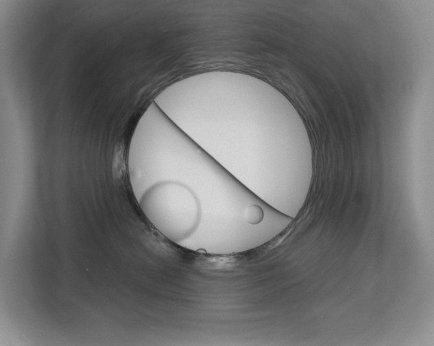 X0000113080478200908280951