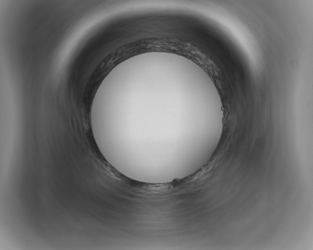 X0000113080479200908280951