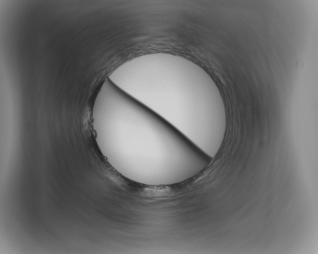 X0000113080480200908280951