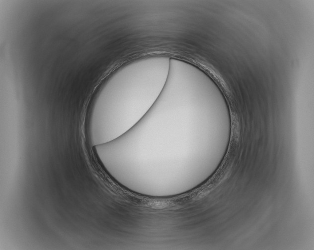 X0000113080482200908280950