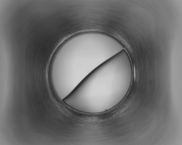 X0000113080483200908280950