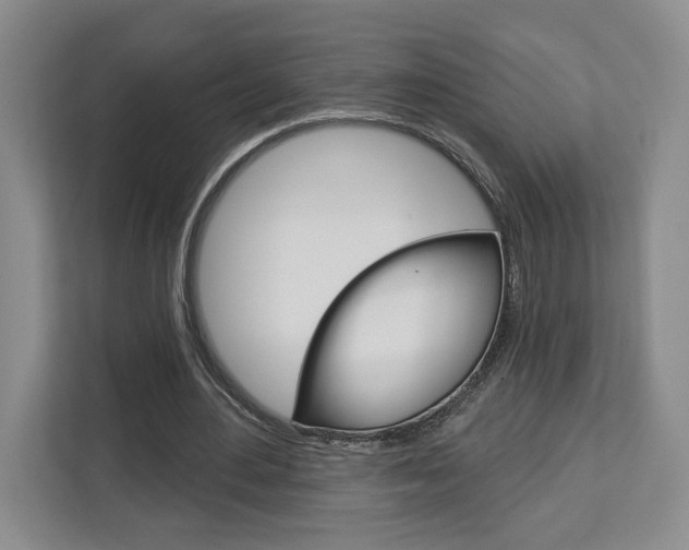 X0000113080484200908280950