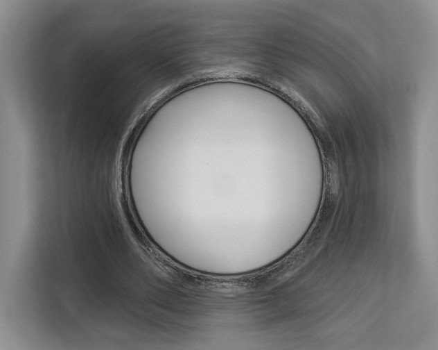 X0000113080486200908280950