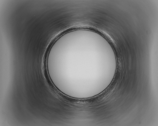 X0000113080487200908280950