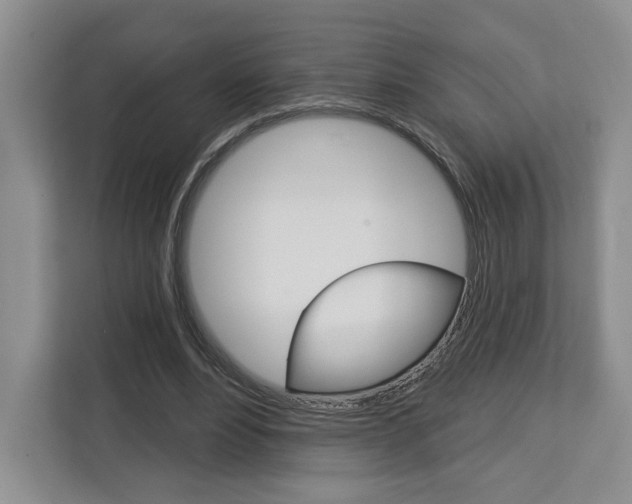 X0000113080488200908280950