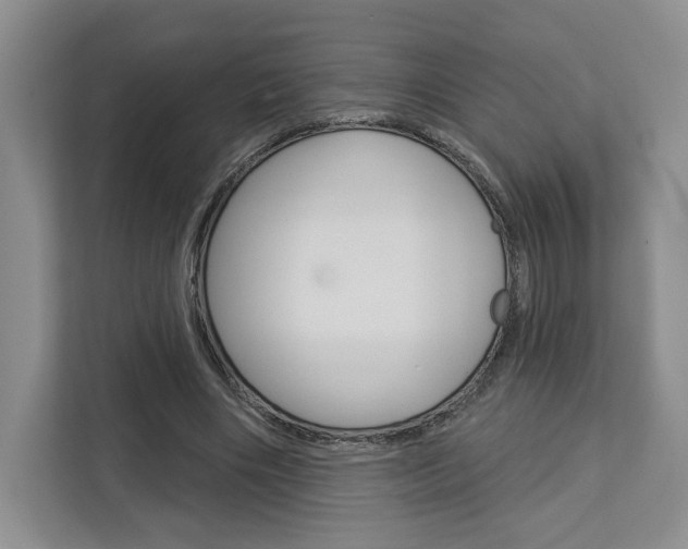X0000113080490200908280950