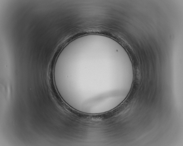 X0000113080491200908280950