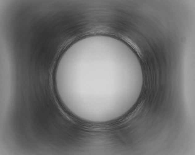 X0000113080493200908280950