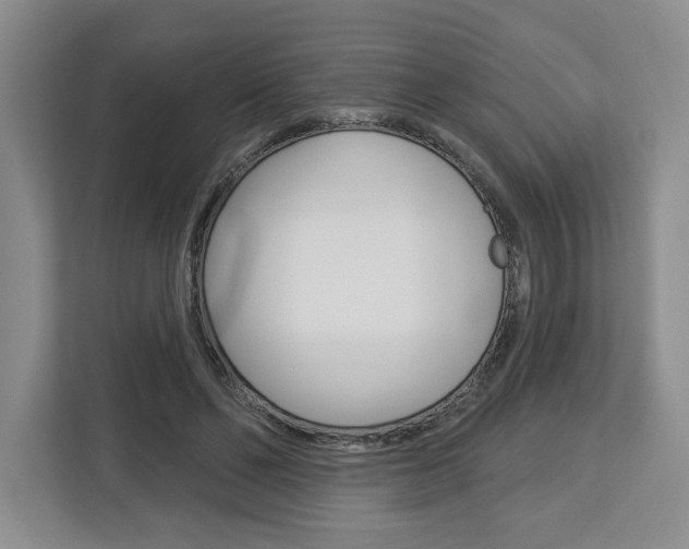 X0000113080494200908280950
