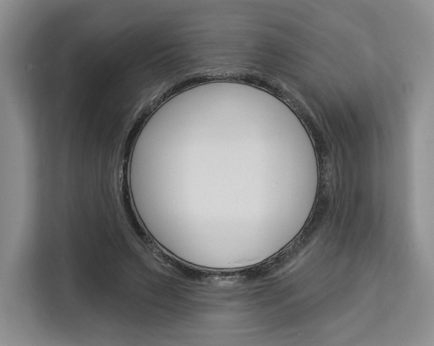 X0000113080495200908280950