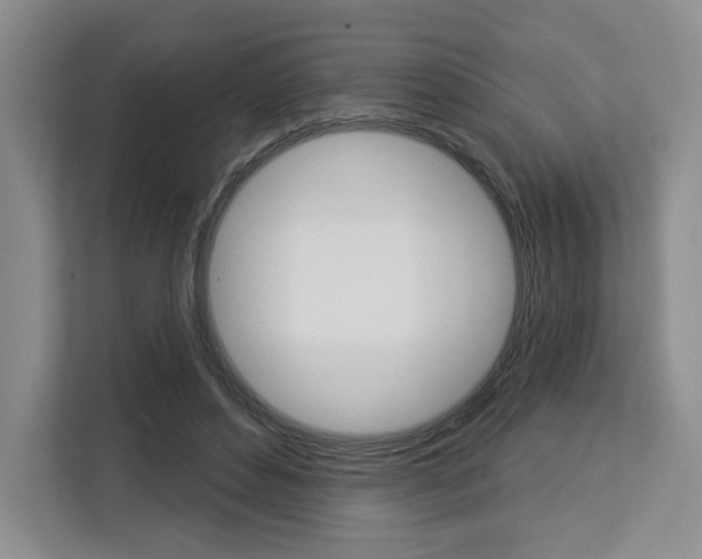 X0000113080496200908280950