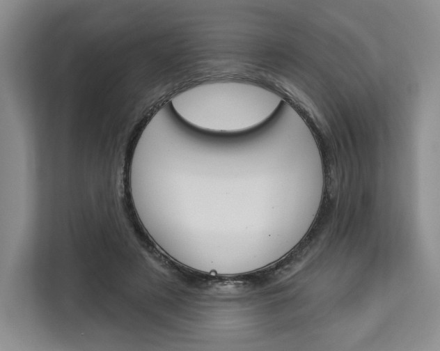 X0000113080497200908280950