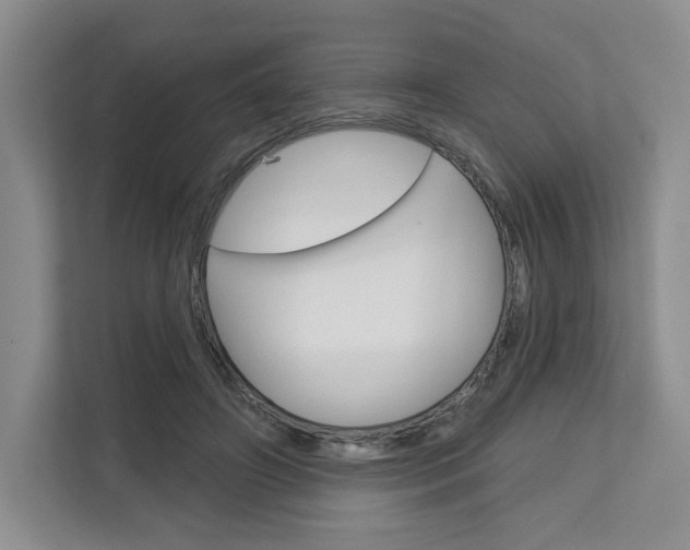 X0000113080498200908280950