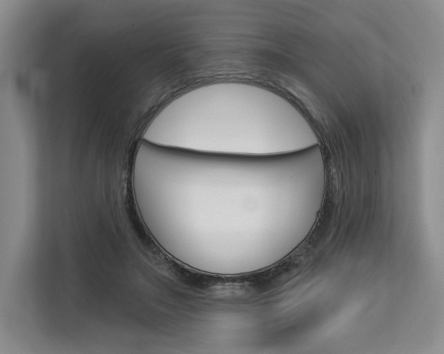 X0000113080499200908280950