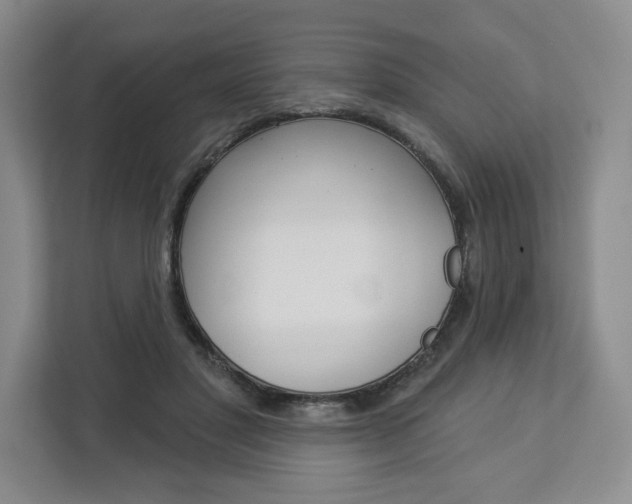 X0000113080501200908280950
