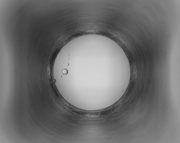 X0000113080502200908280950