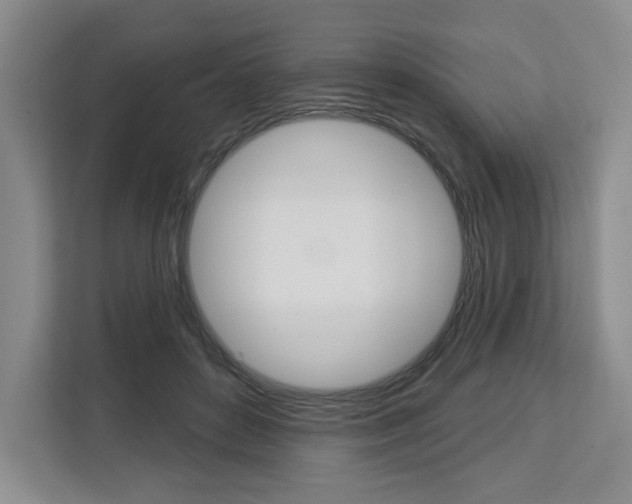X0000113080504200908280950