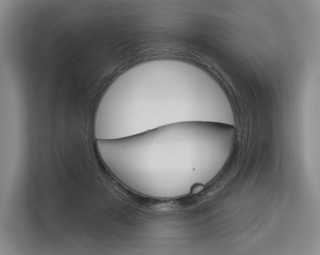 X0000113080505200908280950