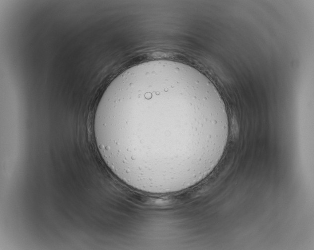 X0000113080506200908280950