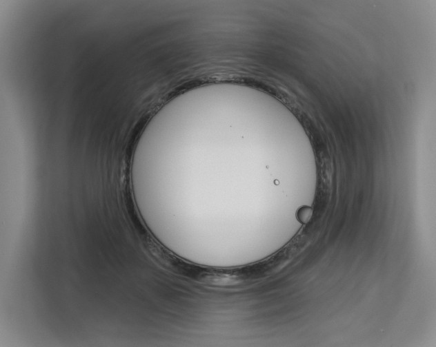 X0000113080507200908280950