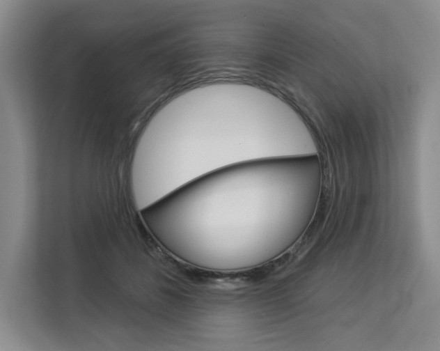 X0000113080508200908280950