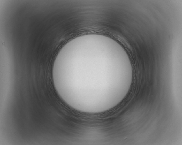 X0000113080509200908280950