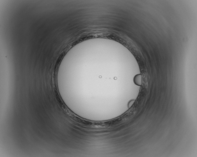 X0000113080510200908280950