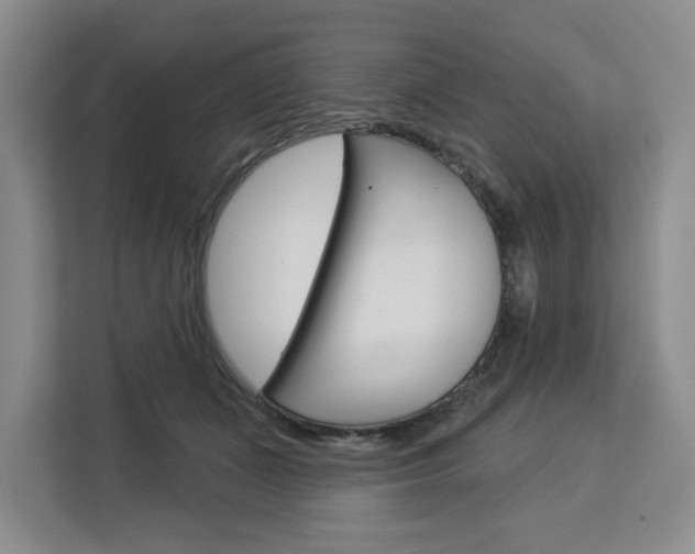 X0000113080511200908280950