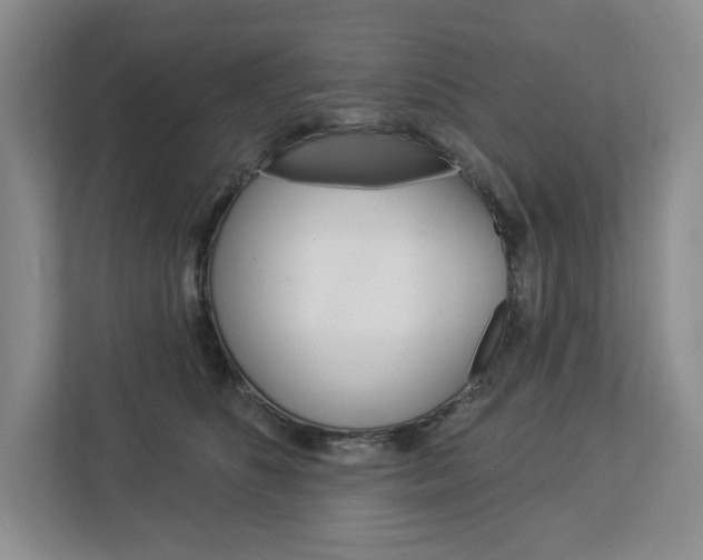 X0000113080516200908280950